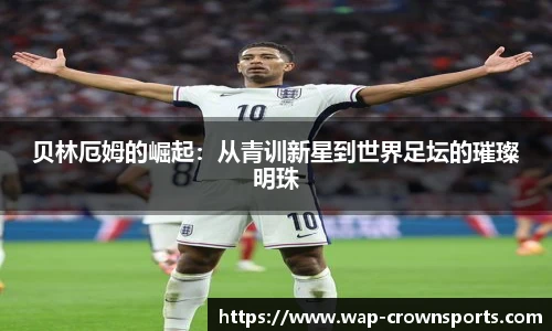 皇冠体育官方网站